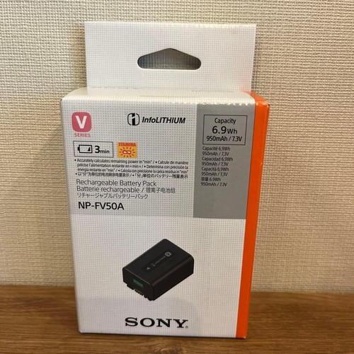 Ottima batteria videocamera