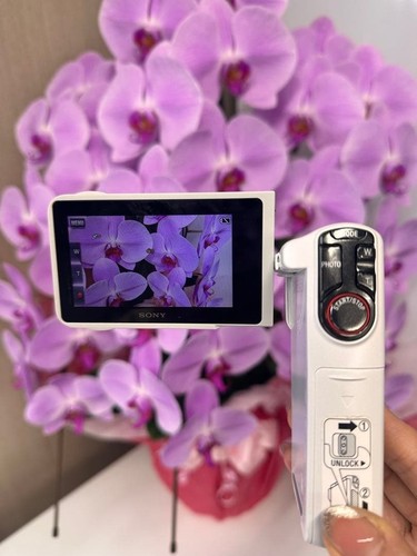 Sony hdr gw77v handycam - sony, hdr-gw77v